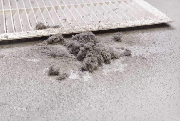 Best Air Duct Cleaning Company Near Me  in Greensboro, GA