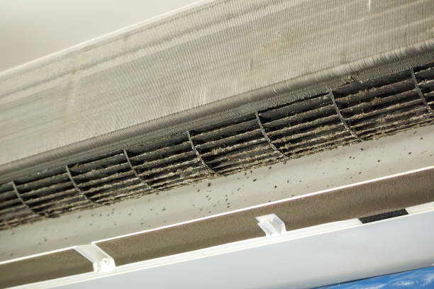 Best Best Air Duct Cleaning Company  in Greensboro, GA